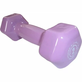 Einarmige Hantel Power System Vinyl Dumbell 2 Kg Purple