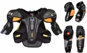 Eishockey Schützer Set