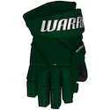 Eishockeyhandschuhe Warrior Alpha LX3 Team Green Senior