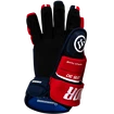 Eishockeyhandschuhe Warrior Covert QR5 30 Black Senior