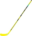Eishockeyschläger Warrior Alpha DX SE2 Intermediate