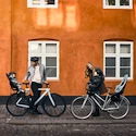 Fahrrad Kindersitz Thule Yepp 2 Maxi - Rack Mount - Fennel Tan