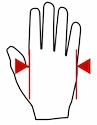 Fitness-Handschuhe MadMax  MFG820