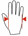 Fitness-Handschuhe MadMax  MFG831