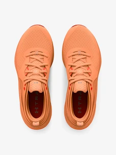 Fitness-Schuhe für Frauen Under Armour HOVR Omnia - ORG  EUR 42