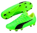 Fußballschuhe Puma