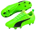 Fußballschuhe Puma evoPOWER Vigor 2 FG
