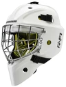 Goalie Maske Warrior Ritual Ritual F1 Jr Junior