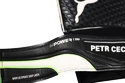 Goalkeeper Gloves Puma evoPOWER Grip 2.3 GC Green Petr Cech