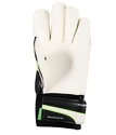 Goalkeeper Gloves Puma evoPOWER Grip 2.3 GC Green Petr Cech