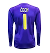 Goalkeeper Jersey Puma national team Czech Republic home with the original signature of Petr Cech
