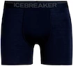 Herren Boxer Shorts Icebreaker  Anatomica Boxers