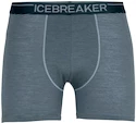 Herren Boxer Shorts Icebreaker  Anatomica Boxers