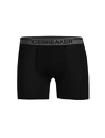 Herren Boxer Shorts Icebreaker  Anatomica Boxers Black