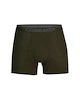 Herren Boxer Shorts Icebreaker  Anatomica Boxers LODEN