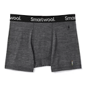 Herren Boxer Shorts Smartwool  Merino Sport 150 Boxer Brief Medium Gray Heather