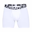 Herren Boxer Shorts Under Armour  Charged Cotton 6in 3 Pack-WHT