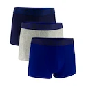 Herren Boxer Shorts Under Armour Perf Tech Solid 3in 3Pack Royal