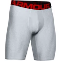 Herren Boxer Shorts Under Armour  Tech 9in 2Pack Grey