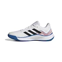 Herren Hallenschuhe adidas  Novaflight M White