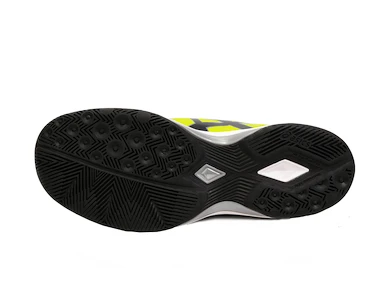 Herren Hallenschuhe Asics