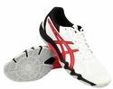 Herren Hallenschuhe Asics
