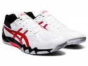 Herren Hallenschuhe Asics