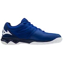 Herren Hallenschuhe Mizuno
