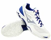 Herren Hallenschuhe Mizuno
