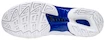 Herren Hallenschuhe Mizuno