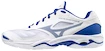 Herren Hallenschuhe Mizuno