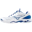 Herren Hallenschuhe Mizuno
