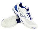 Herren Hallenschuhe Mizuno