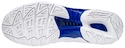 Herren Hallenschuhe Mizuno