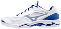 Herren Hallenschuhe Mizuno