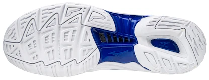 Herren Hallenschuhe Mizuno
