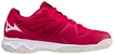 Herren Hallenschuhe Mizuno  Lightning Star Z6 Junior Red White