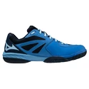 Herren Hallenschuhe Mizuno  Wave Claw 2