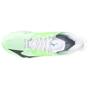 Herren Hallenschuhe Mizuno  Wave MIRAGE 5 Neo Mint/Black  EUR 42,5