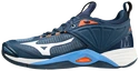 Herren Hallenschuhe Mizuno  Wave Momentum 2