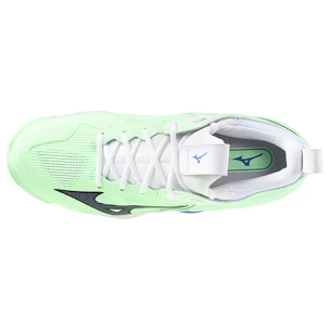 Herren Hallenschuhe Mizuno  Wave MOMENTUM 3 Neo Mint/Black  EUR 44,5