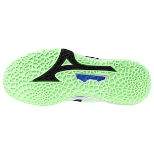 Herren Hallenschuhe Mizuno  Wave STEALTH NEO 2 Neo Mint/Black  EUR 43