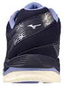 Herren Hallenschuhe Mizuno  Wave Voltage Evening Blue