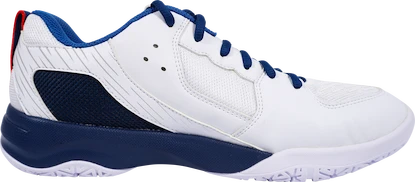 Herren Hallenschuhe Victor  A311 AF White