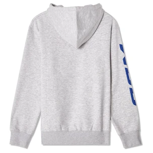 Herren Hoodie CCM  Athleisure Hood Grey Melange