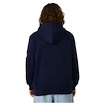 Herren Hoodie CCM  Flag Hood Team USA Navy