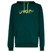 Herren Hoodie Oakley  The Post Po Hoodie