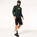 Herren Hoodie Oakley  The Post Po Hoodie