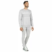 Herren Hoodie Tecnifibre  Club Sweater Silver