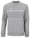 Herren Hoodie Tecnifibre  Club Sweater Silver